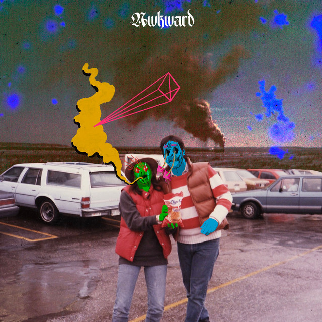 Mega Dolphins cover art
