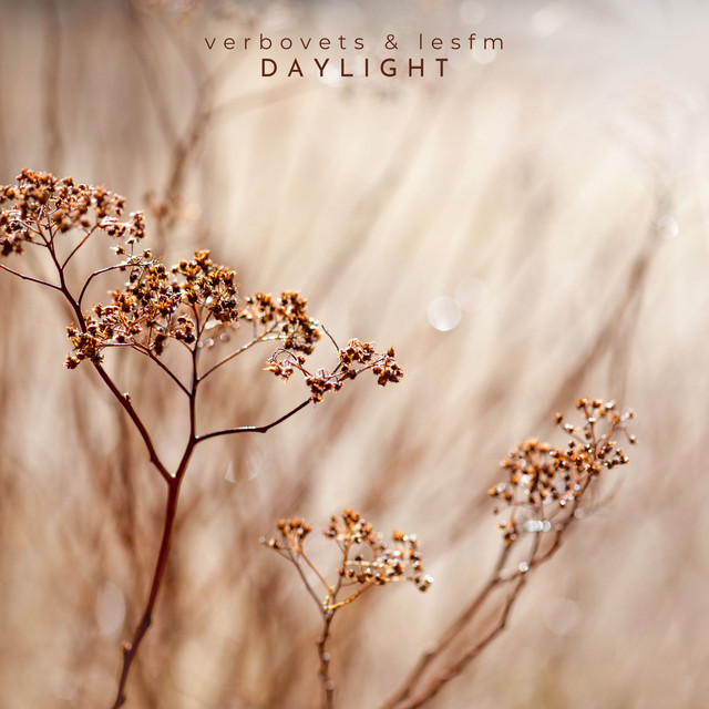 Обкладинка: Daylight — Lesfm