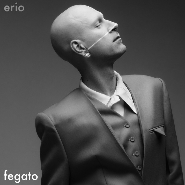 Fegato cover art