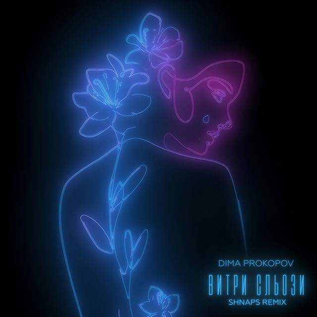 Обкладинка: Витри сльози - Shnaps Remix — Dima PROKOPOV