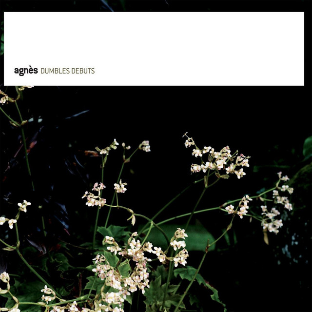 Dumbles Debuts cover art
