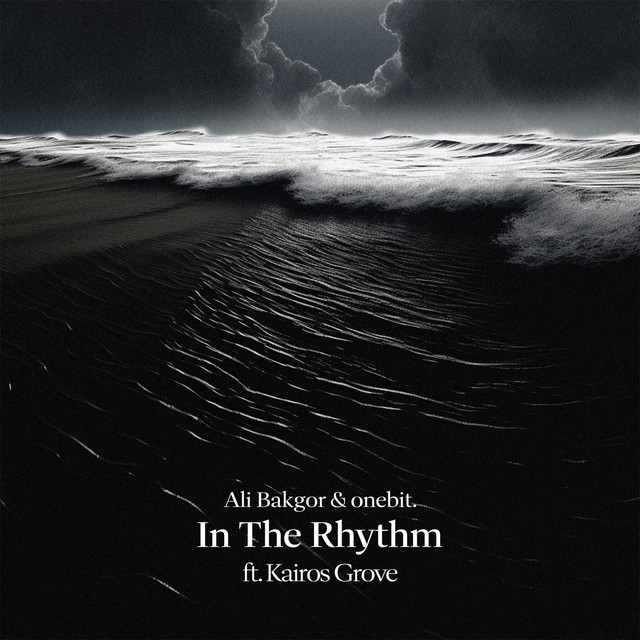 In The Rhythm - Extended Mix album art