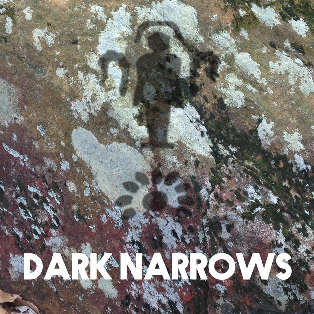 Dark Narrows cover