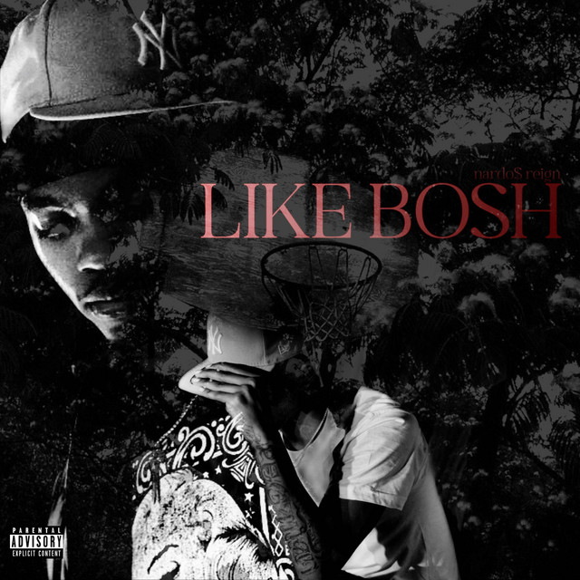 LIKE BOSH