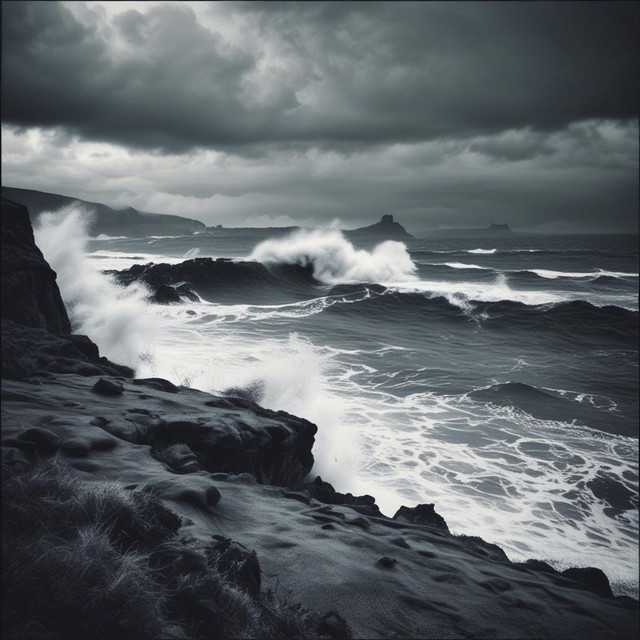 Nature s Forces cover