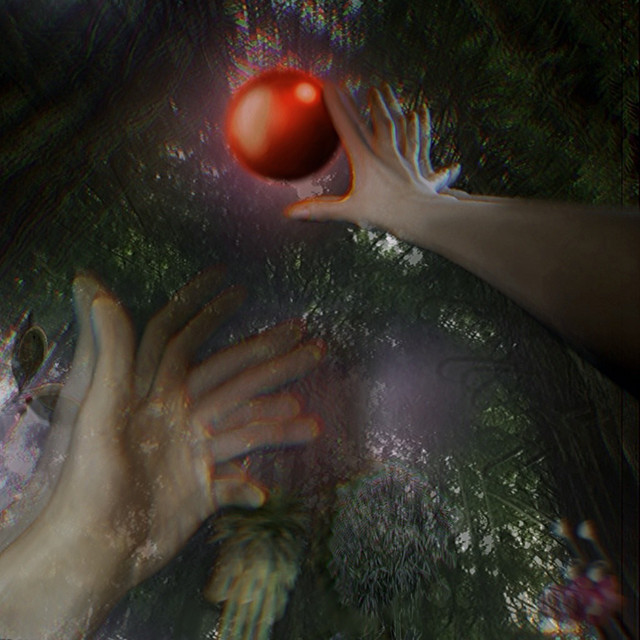 Untranslatable cover art