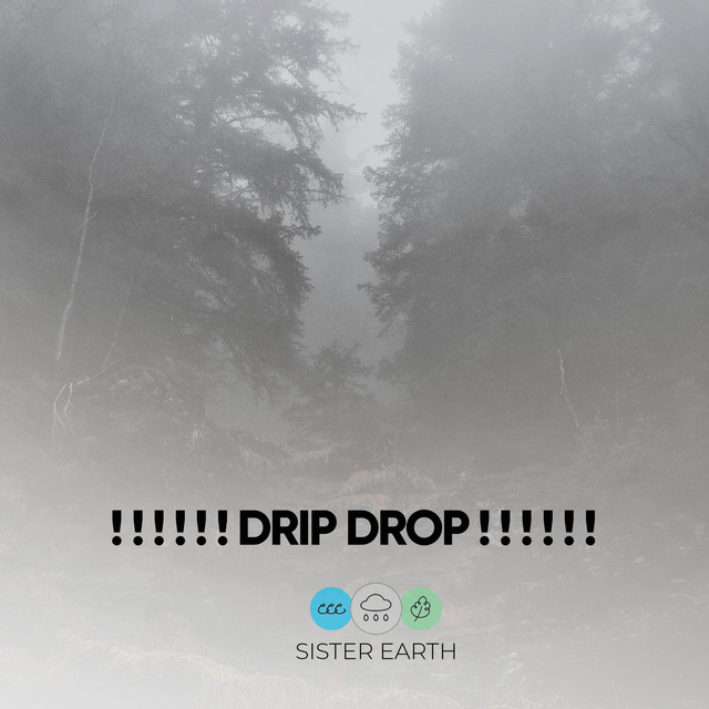 Drip Drop ! ! ! ! ! ! - Album by ASMR Rain Sounds | Spotify