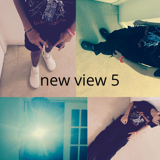New View 5 cover art