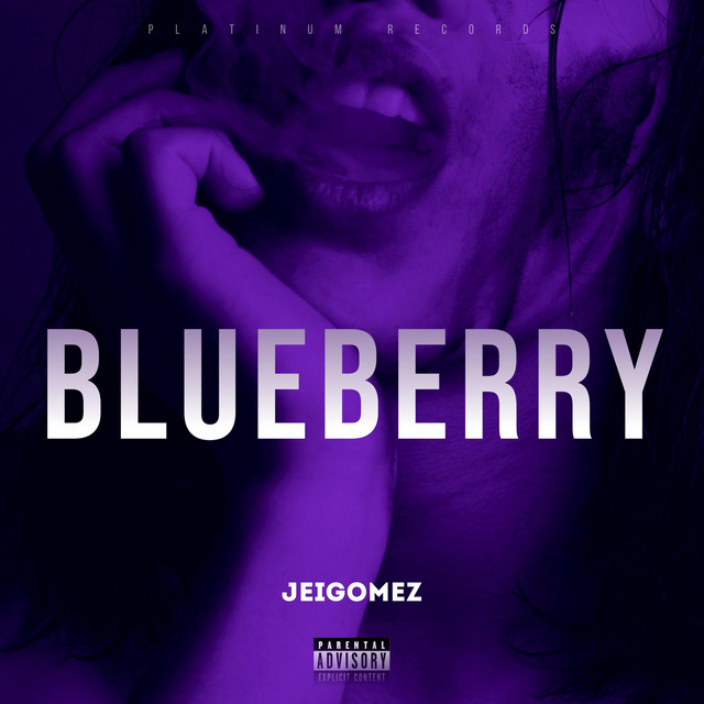 Blueberry cover
