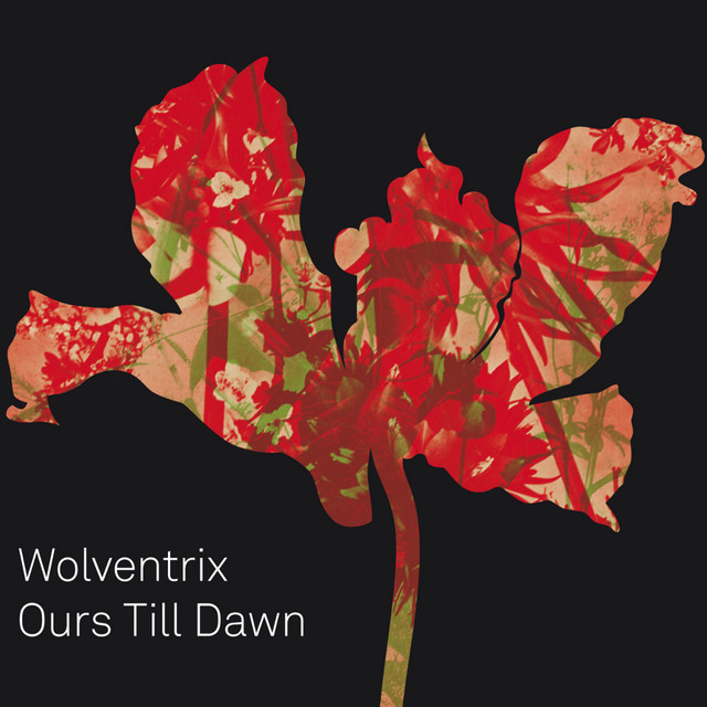 Ours Till Dawn cover art