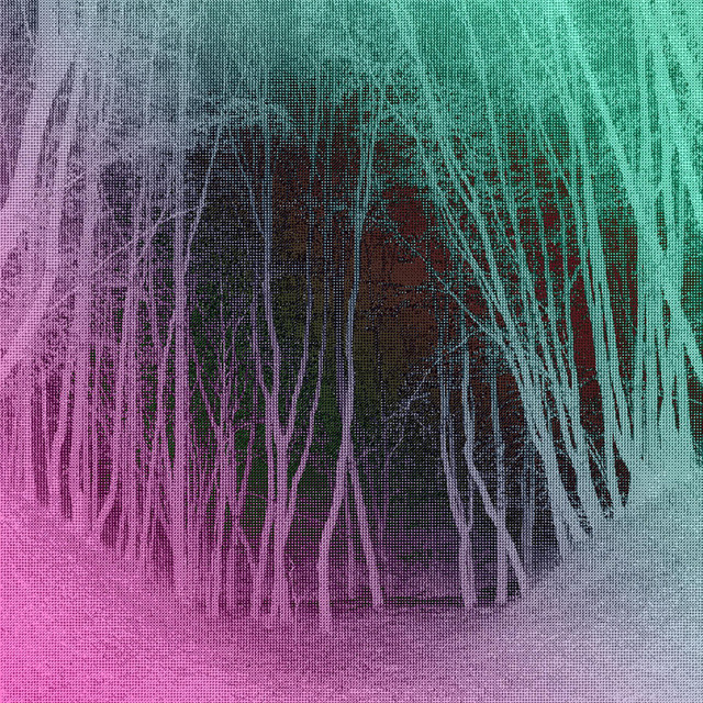 Noise.bmp cover art