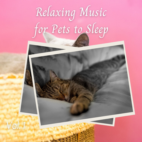 relaxing-music-for-pets-to-sleep-vol-1-album-by-dog-sleep-dreams