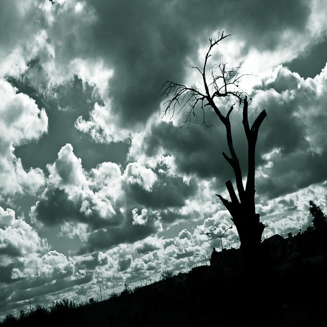 Desilusiones y Tragedias cover art