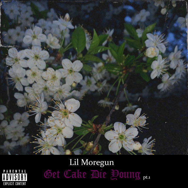 Обкладинка: She Knows — Lil Moregun