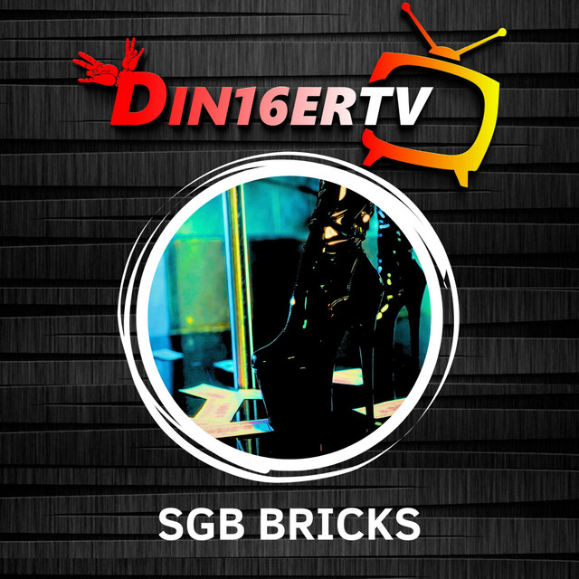 SGB BRICKS cover