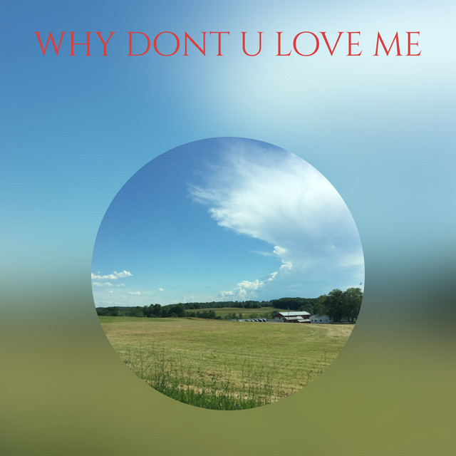 why dont u love me (remix) cover art
