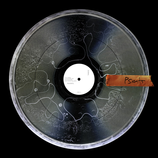 Signal cover art
