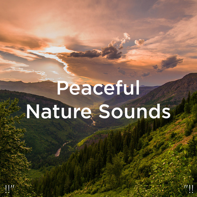 Peaceful Nature Sounds "!! - Album by Deep Sleep | Spotify