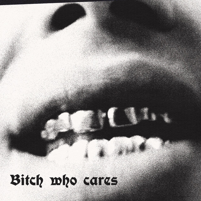Bitch who cares cover