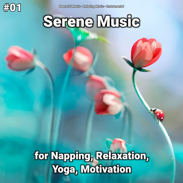#01 Serene Music for Napping, Relaxation, Yoga, Motivation cover art