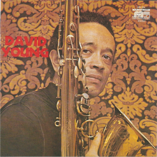 David Young cover art