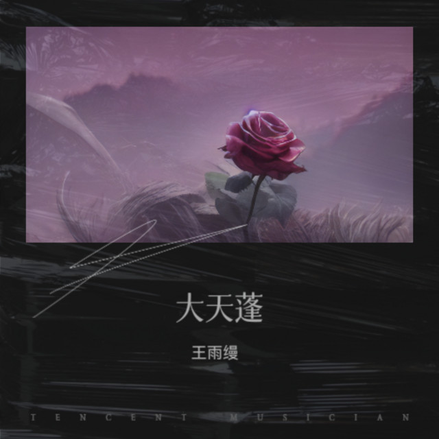 王雨缦