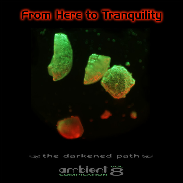 From Here to Tranquility, Vol. 8 cover