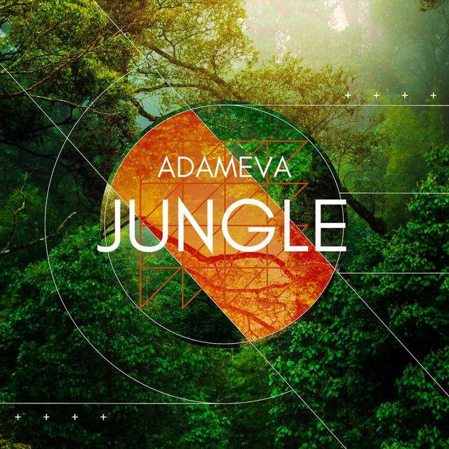 Jungle cover art