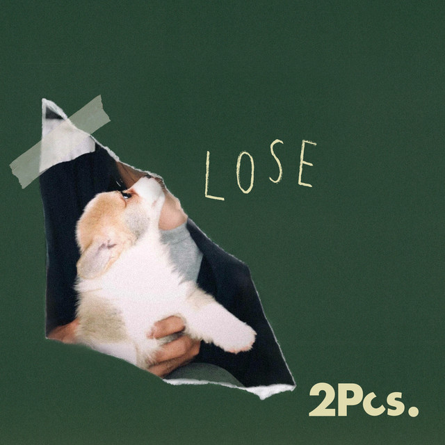Lose cover art