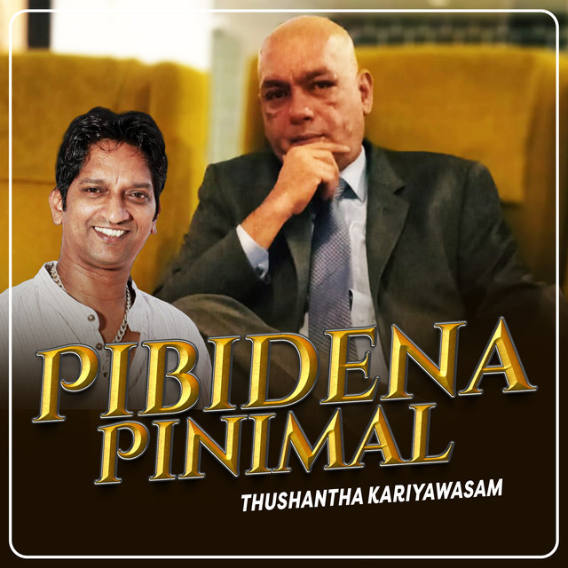 Pibidena Pinimal cover art