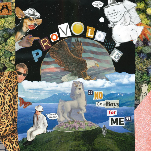 No Cowboys for Me cover art