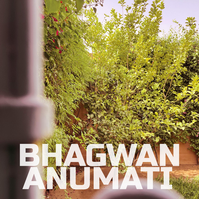 Anumati cover art
