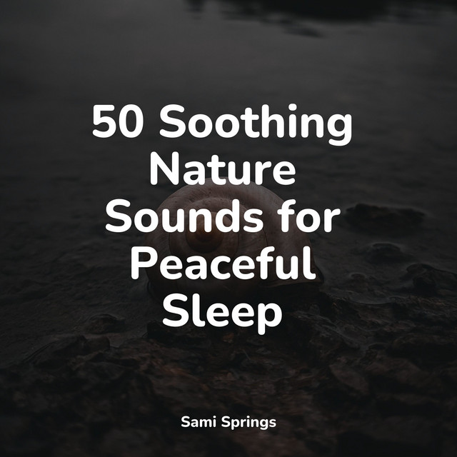50 Soothing Nature Sounds for Peaceful Sleep - Album by Música para ...