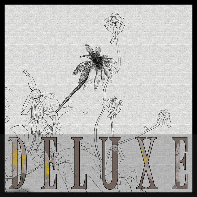 Barbed Wire Lillies Deluxe cover art