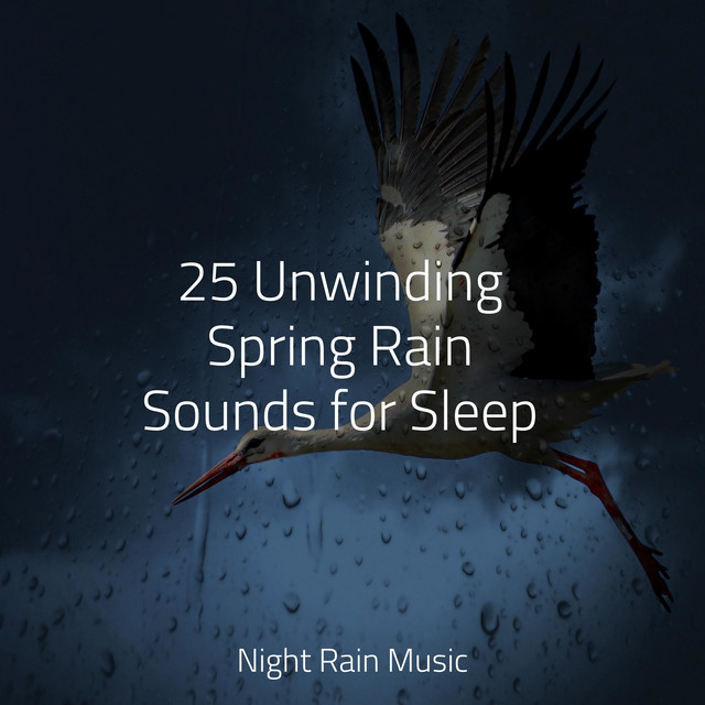 25 Unwinding Spring Rain Sounds for Sleep - Album by Sleepy Night Music ...