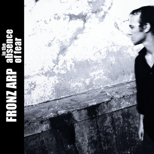 In the Absence of Fear cover art