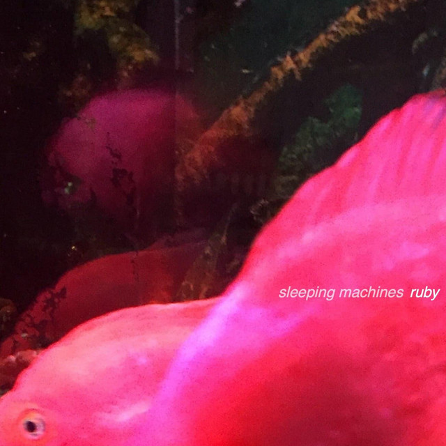 Sleeping Machines
