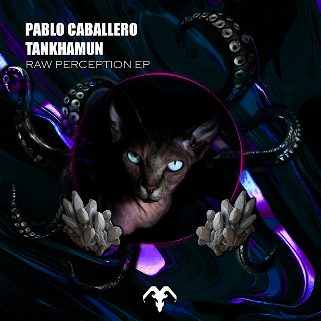 Raw Perception - Original Mix cover art