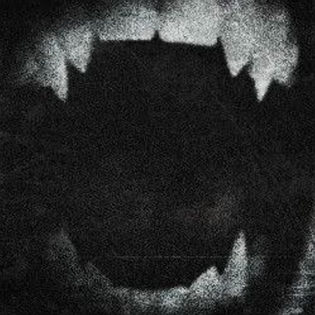 fangs
