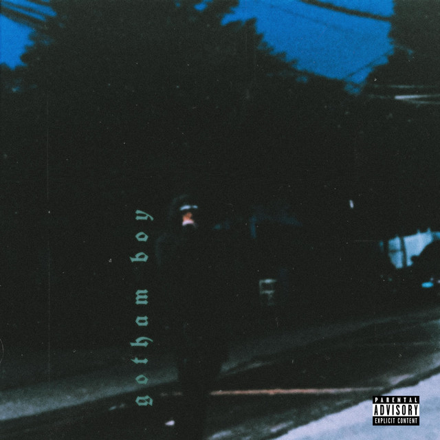 gotham boy cover art