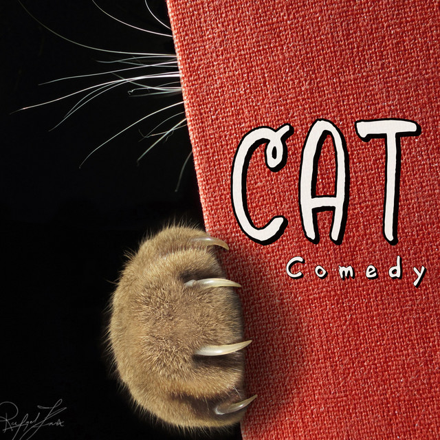 Cat Comedy cover art