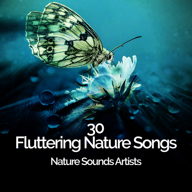 30 Fluttering Nature Songs - Album by Nature Sounds Artists | Spotify