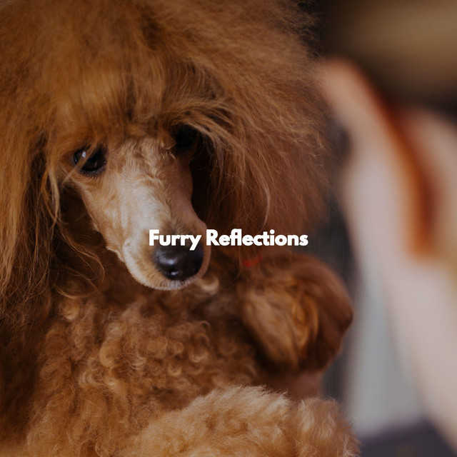 Furry Reflections cover art