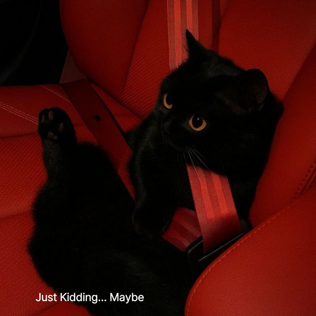 Just Kidding… Maybe cover art