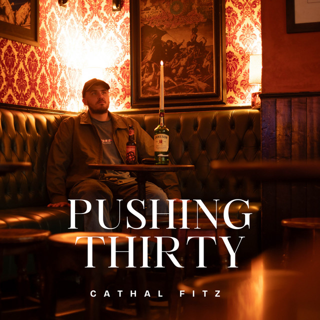 Pushing Thirty - song and lyrics by Cathal Fitz | Spotify