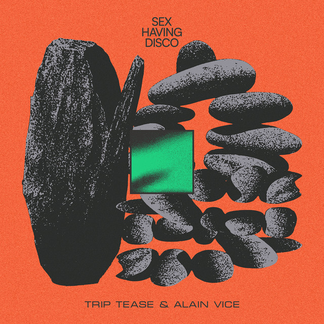 Sex Having Disco cover art