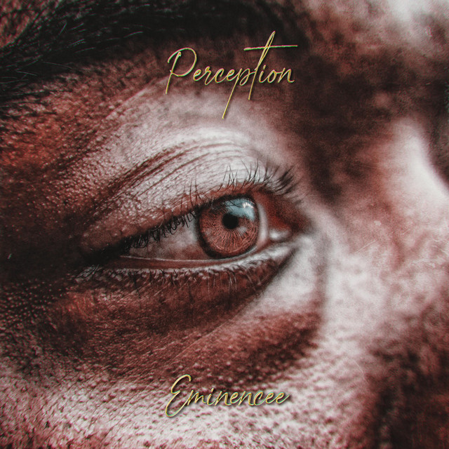 Perception cover art