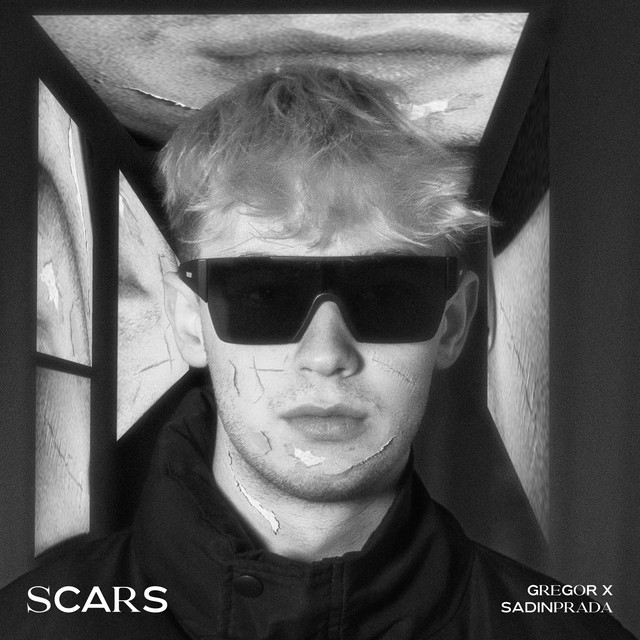 SCARS cover art