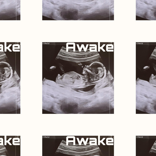 Обкладинка: Awake — ELFANNA