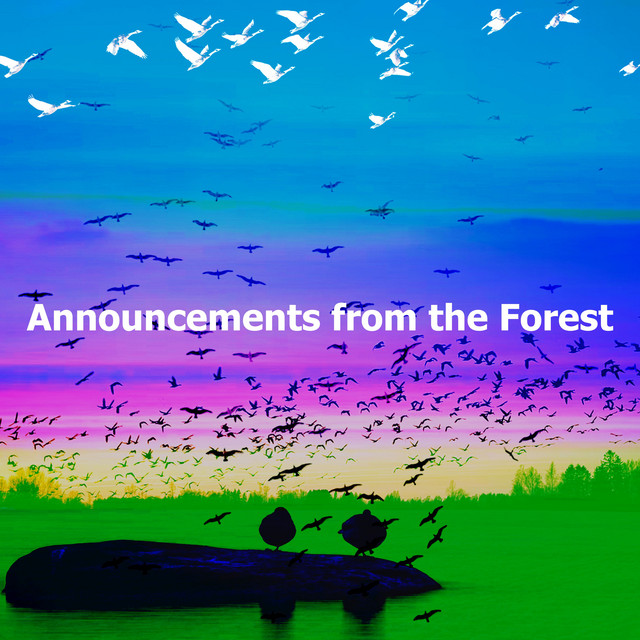 Announcements from the Forest cover art